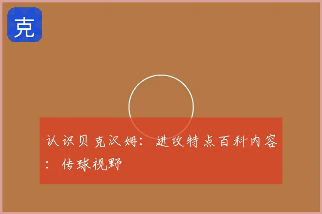 认识贝克汉姆：进攻特点百科内容：传球视野