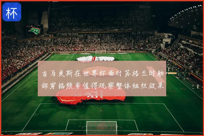 吉马良斯在世界杯面对苏格兰时肋部穿插频率值得观察整体组织效果